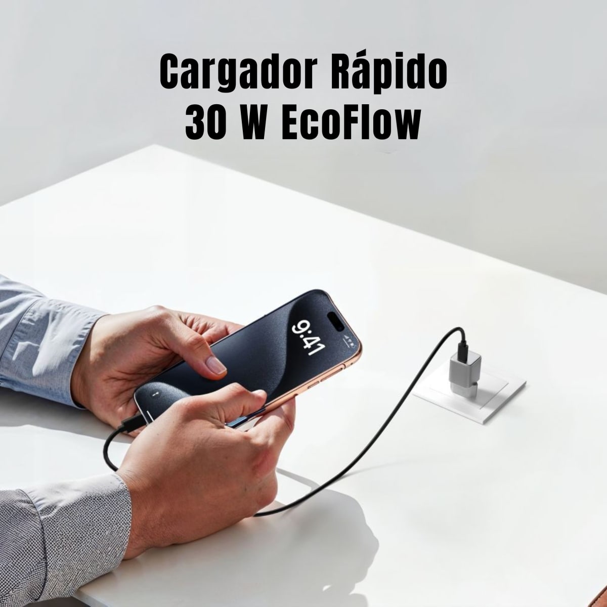 Cargador rápido 30W EcoFlow Voltaichile