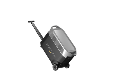 EcoFlow Delta Pro 2 Ecoflow