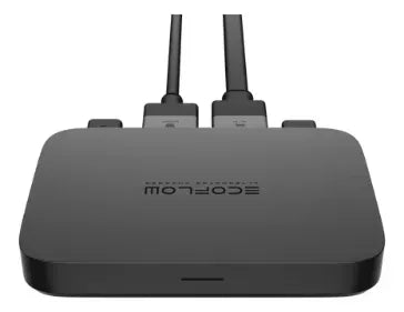 Supercargador Vehículo Ecoflow